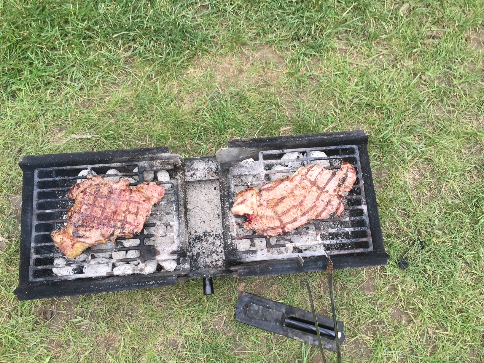 Grillieren mit dem Son of Hibachi